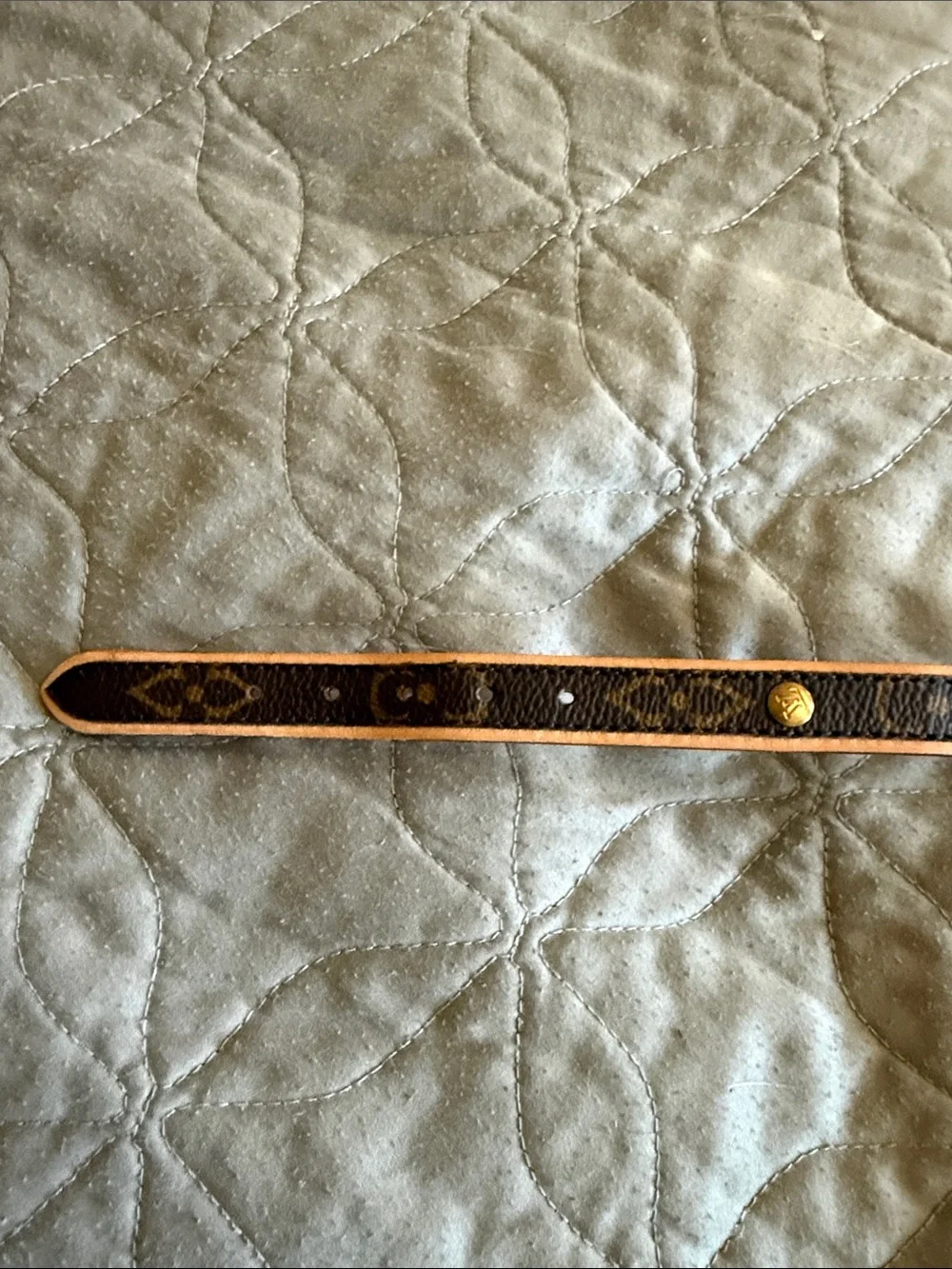 Louis Vuitton Barter Dog collar